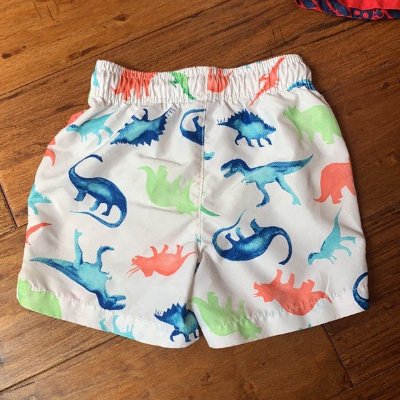 Swim Trunks - Picture 5 of 16